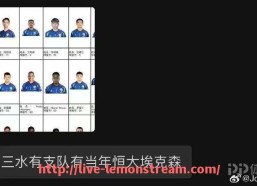 柠檬体育直播-2013火箭队球员名单大全：阵容构成与场上角色